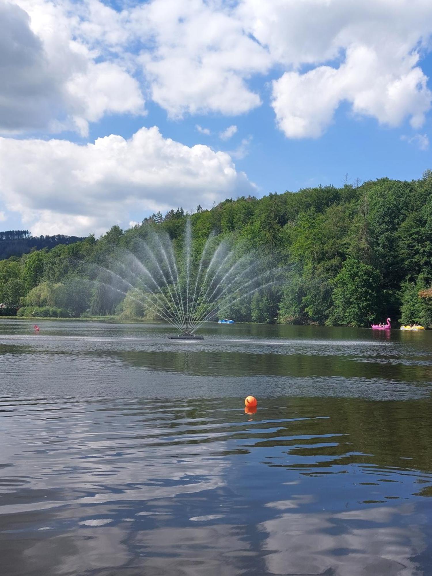 Ferienwohnung Gipfelglueck Mit Fernblick Und Strandkorb Bad Sachsa Exterior foto